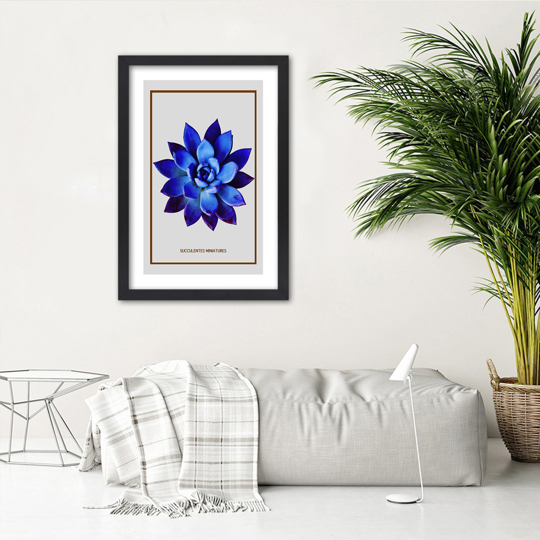 Gerahmtes Poster Blue Succulent