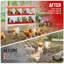 Nesting Boxes-601562862-601562863