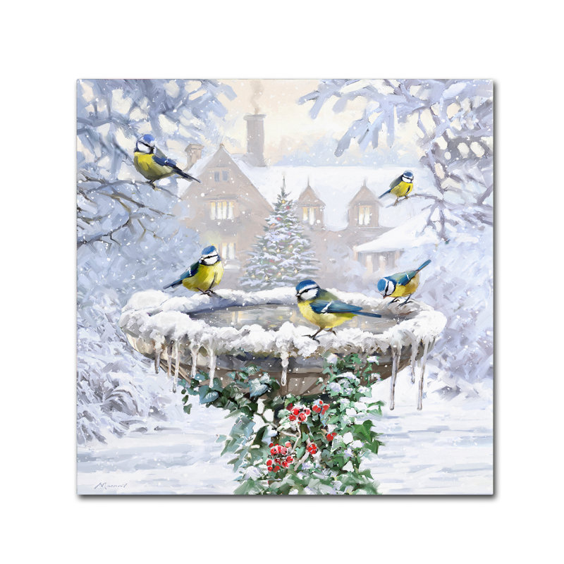 «Birdbath Flat» par Armand, reproduction sur toile, H 24 po x l 24 po x P 2 po