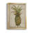" Pineapple Study I "-1228842153-1228842158