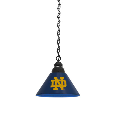 Luminaire suspendu conique à 1 lumière NCAA
