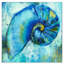 Sunshine Charms IV-476470880-476470891-476470890