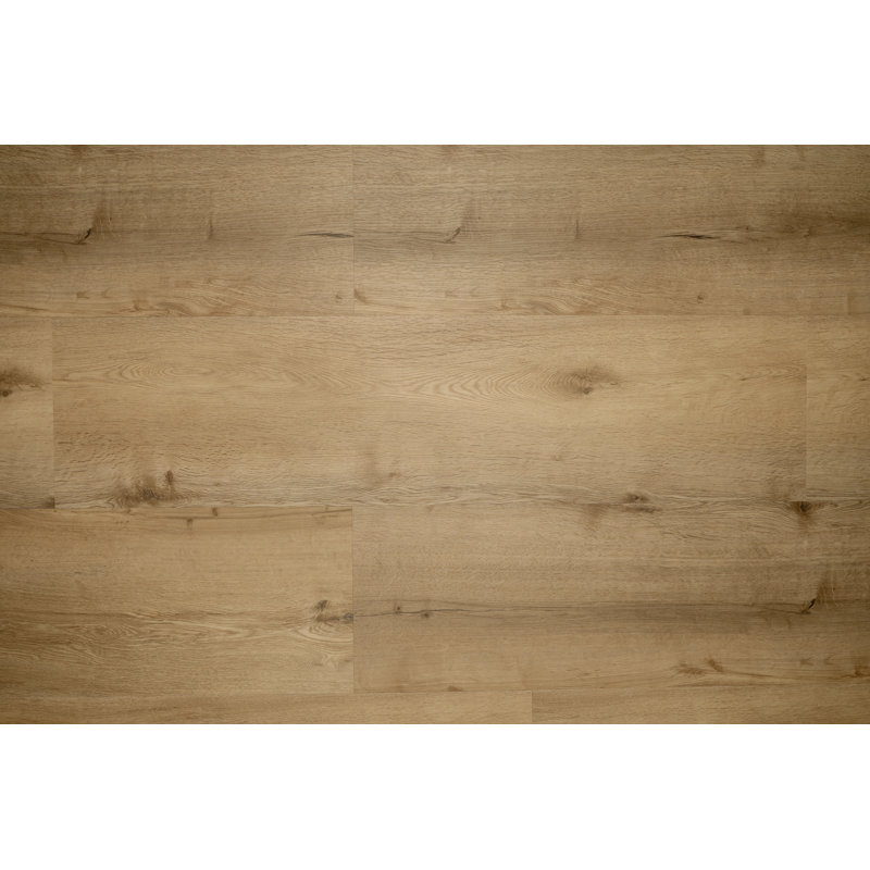 Planches de vinyle Blues SPC - 48 po x 12 po - chêne royal
