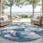 Machine Washable Indoor/Outdoor Chantille ACN2405 Botanical Rug-1620983328