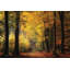 «Autumn Mood» par Martin Podt - Peinture-240427473-252962768-252962761