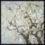Meeting Place Print-49510679