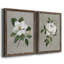 Magnolia botanique - ensemble de 2 reproductions d'art-866272705-866272718-866272719
