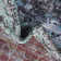 Ashington Oriental Indoor Rug