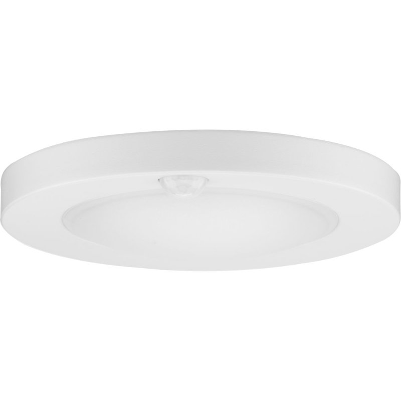 White LED Indoor/Outdoor Drum Flush Mount Light
