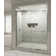 Rotolo 56" W x 76" H Framed Shower Door