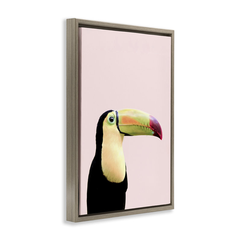 Toucan pastel sur toile flottante encadrée rose par Sissi et Seb, Cadre flottant orme Montalcino, H 25 po x l 17 po