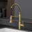 Pull Down Kitchen Faucet-125337697