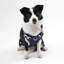Harnais pour animal de compagnie Arlo-112400925-128618013