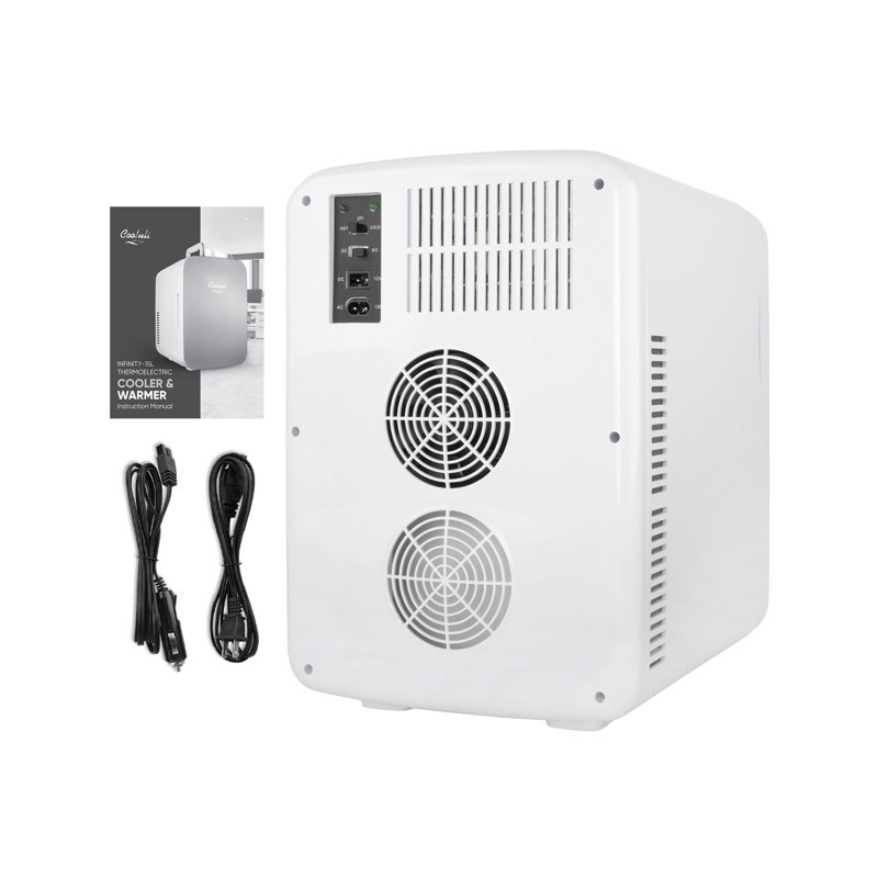 Compact Black Portable Mini Fridge with Smooth Door