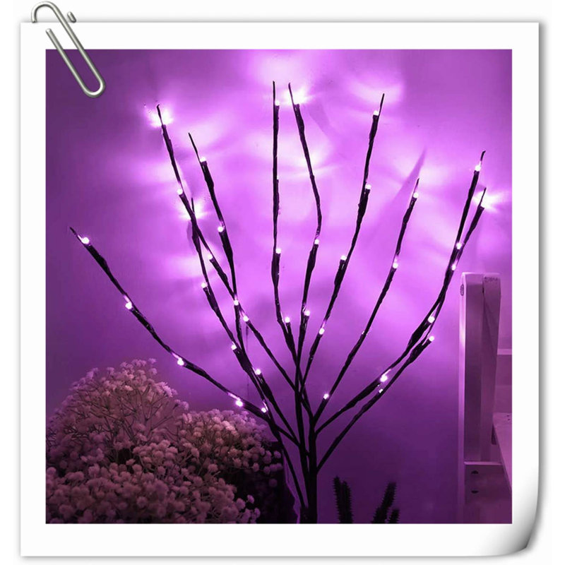 Net Lights