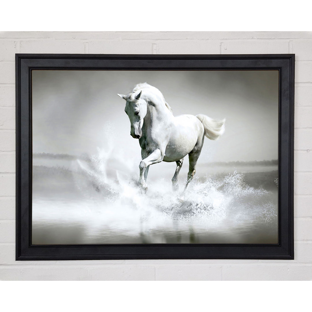 White Water Horse Gerahmter Druck