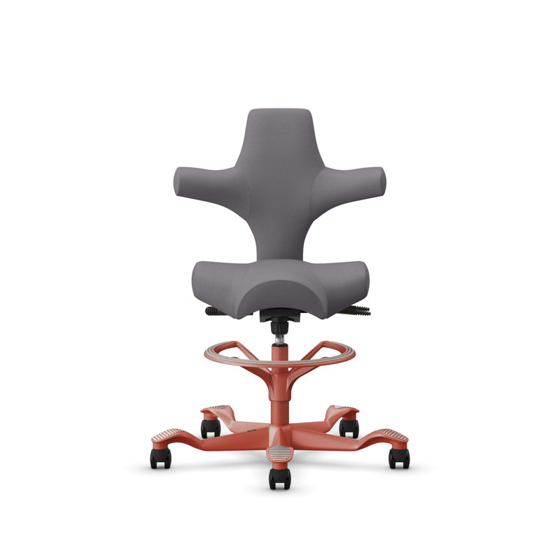 Fauteuil réglable en hauteur avec repose-pieds HœG Capisco, Gris, Rose