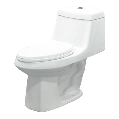 Toilette allongée une pièce à double chasse jackson (siège non inclus)