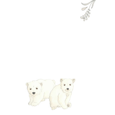 Bébés animaux II
