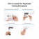 SkyPlug Smart Lighting Canopy Kit - Capella