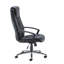 Turgut Executive Chair