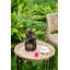 Fontaine décorative avec pot