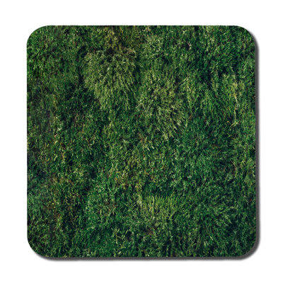 Douai Square 6 Piece Coaster Set