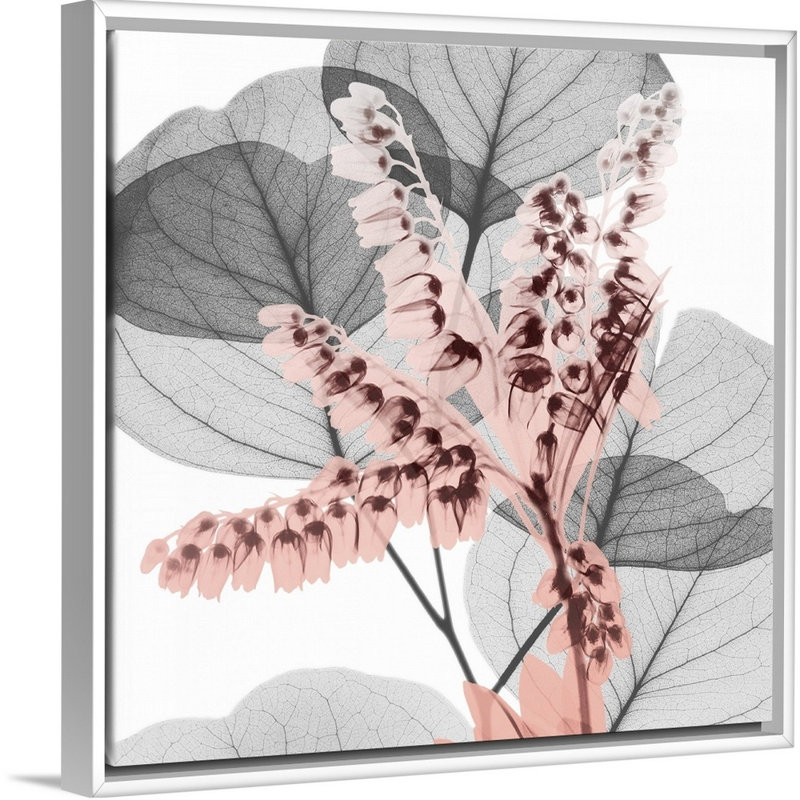 Reproduction d’art sur toile, "blush blush 1" par Albert Koetsier, Cadre blanc, H 22 po x l 22 po x P 1,75 po