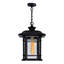 Luminaire suspendu d'extérieur moderne 1 lumière Rigdon pour patio, jardin et cour arrière
