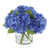 Bleu sélectionné