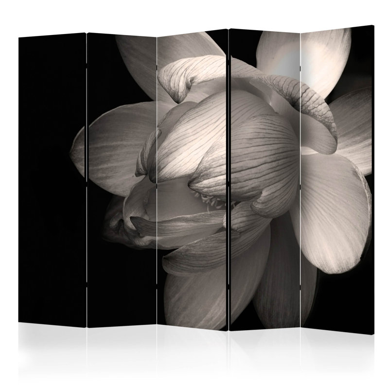 Glengarry 225 cm W x 172 cm H 5 - Panel Solid Wood Folding Room Divider