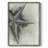 Found Starfish I Framed Print - Solid Wood-19202979