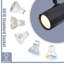 Maudine 2-Light 26cm Ceiling Spotlight