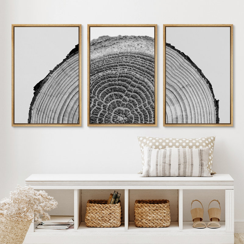 Natural Framed Black and White Tree Rings Canvas Art Set