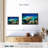 Turtle Underwater Reef Canvas Print-102859252