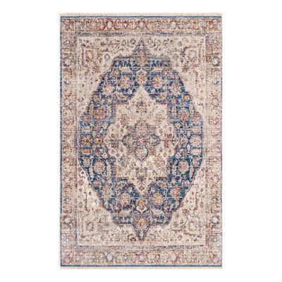Behn Oriental Indoor Rug