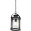 Mini-luminaire suspendu noir mystique 1 lumière Carshalton