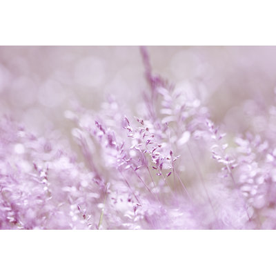 Nature Background 1 Piece Wrapped Canvas Wall Art