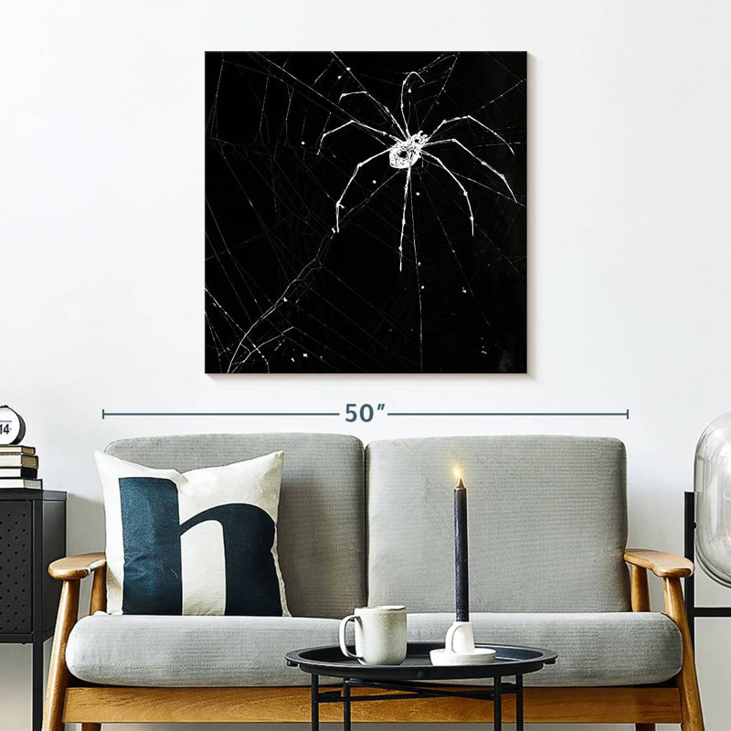 Brampt Halloween Spider