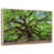 Floating Frame Natural Wood