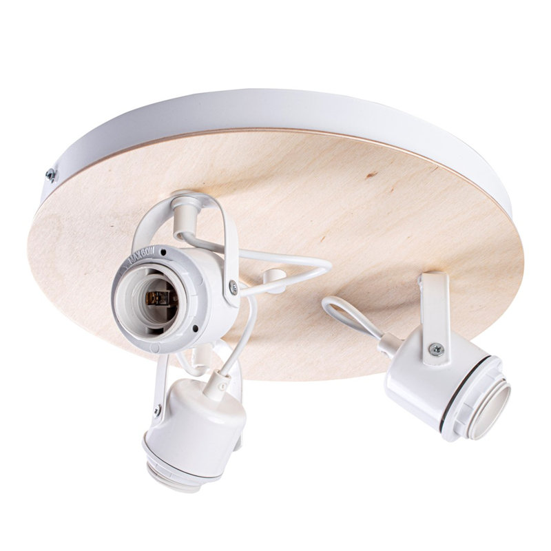 Oval Spotlight