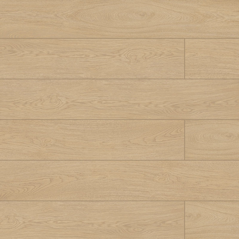 Evoque 8X48 Miele, Beige Miele