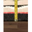 Bever Oriental Area Rug in Mocha