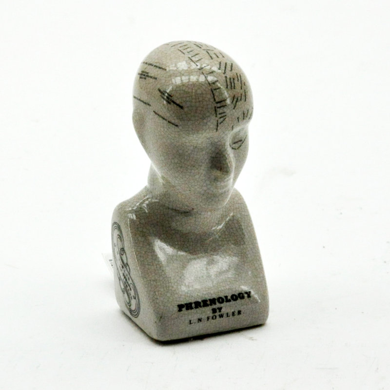 Jurnee Ceramic Phrenology Head Bust Victorian Study Ornament with Crackle Glaze Decorative Desk Sculpture