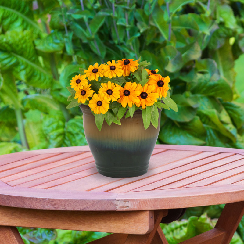 Pot à fleurs extérieur rond en céramique Ailynn, H 10 po x l 12 po x P 12 po, Vert