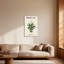 Plantes et fleurs, lys de paix, reproduction d'art botanique-2042790118