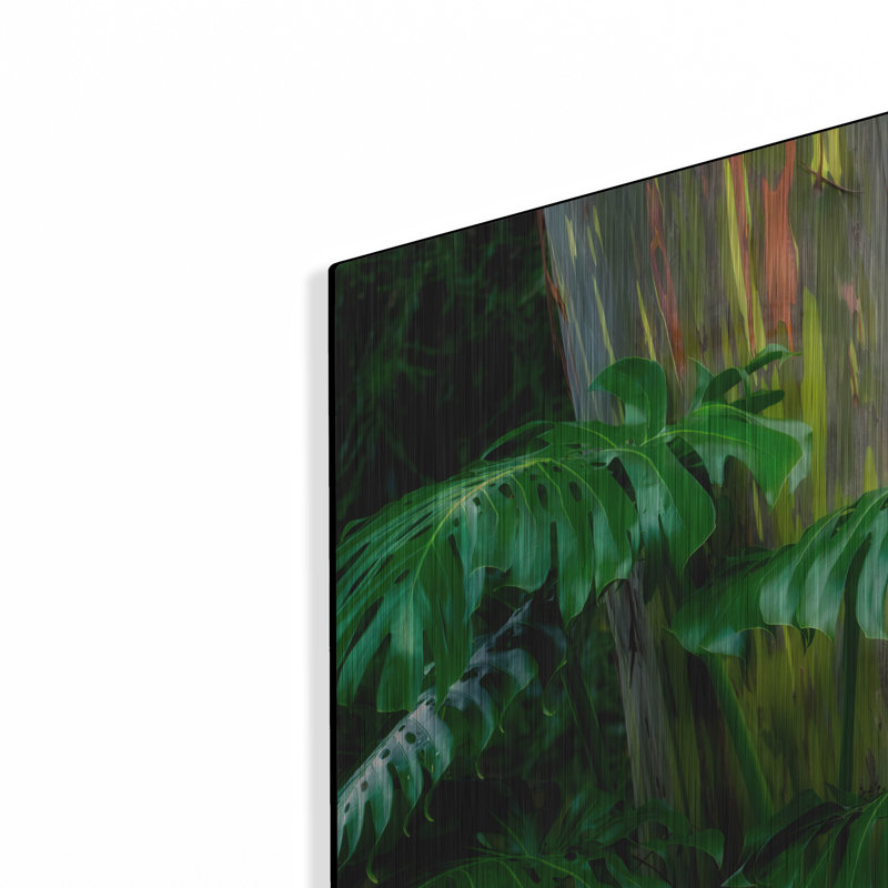 «Tropical Leaves» par Dennis Frates, H 12 po x l 16 po