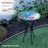 Alverce Glass Birdbath
