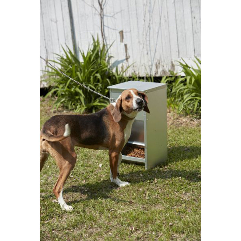 Pet Lodge Galvanized Steel Automatic Dog Feeder, 25 lb Capacity
