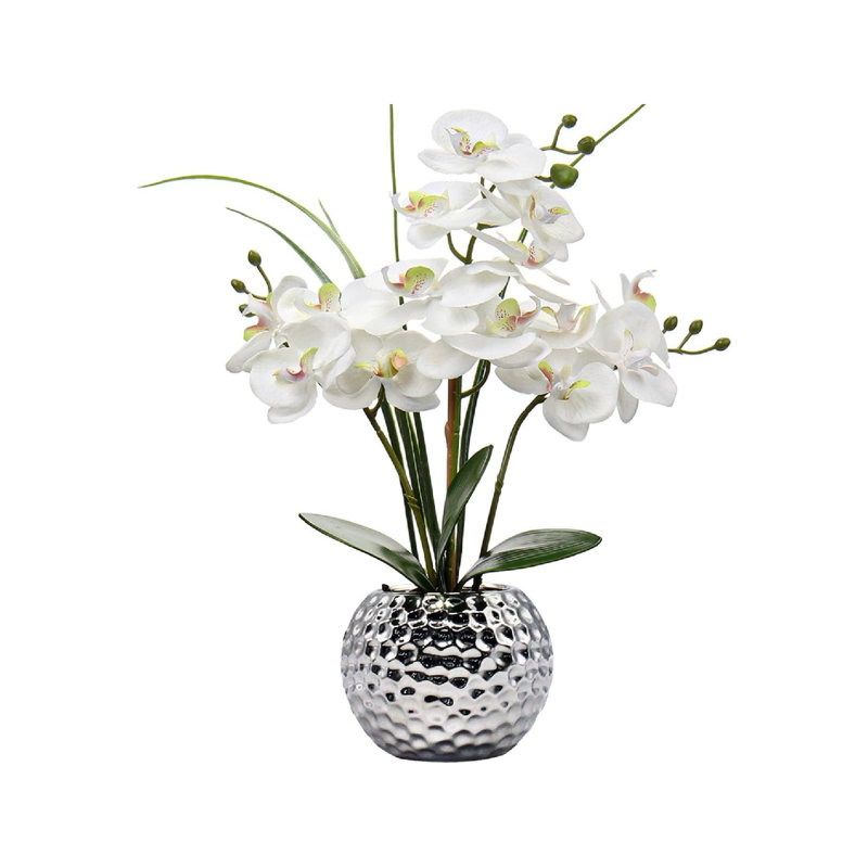 Arrangement